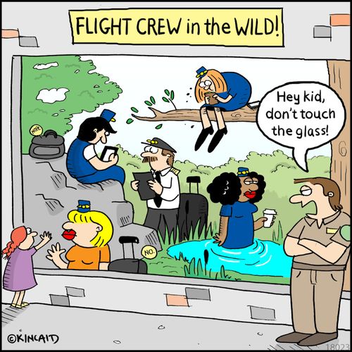 Flight Crew in the Wild!