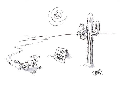 Desert crawler sees cactus holding speed camera.