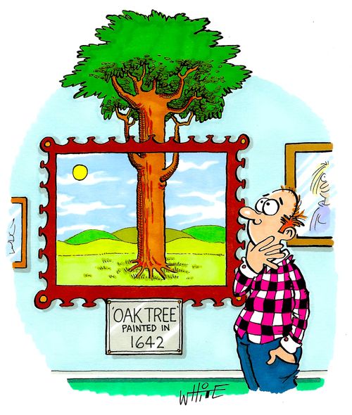 Oak Tree Painted in 1642