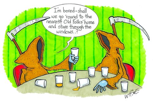 "I'm bored - shall we go 'round to the nearest Old Folks' home and stare through the windows...?"
