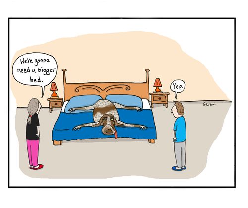 "We're gonna need a Bigger bed."