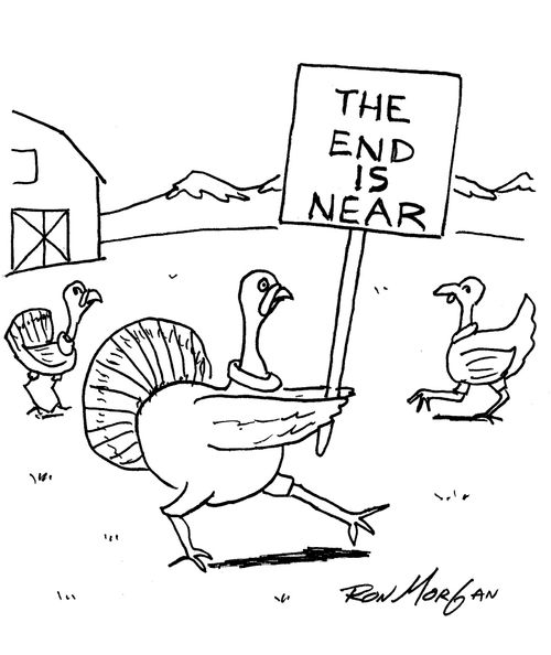 Barnyard turkey carries sign: The End is Near, at Thanksgiving season.