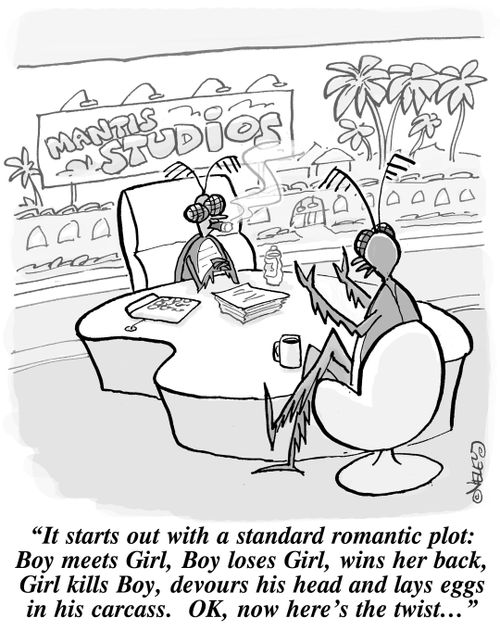 "It starts out with a standard romantic plot: Boy meets Girl, Boy loses Girl, wins her back, Girl kills Boy, devours his head and lays eggs in his carcass. Ok, now here's the twist..."