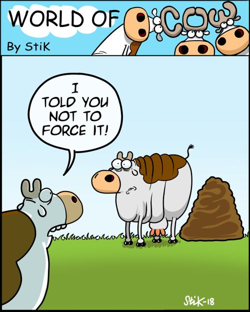 "I told you not to force it!"