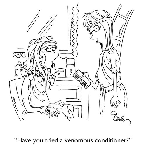 "Have you tried a venomus conditioner?"