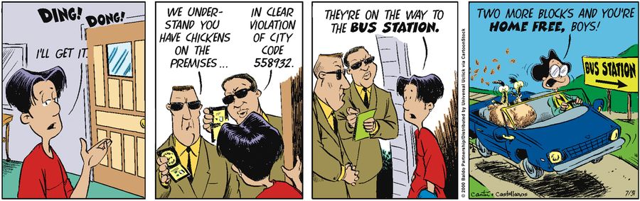 "We understand you have chickens on the premises...in clear violation of city code 558932."