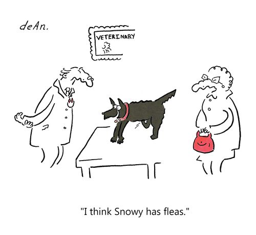 "I think Snowy has fleas."