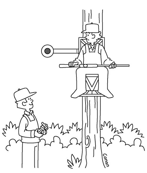 Dunk Hunt