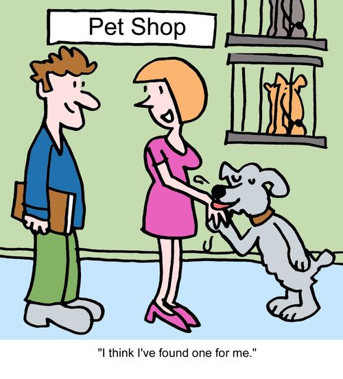 Pet Shop: "I think I've found one for me."