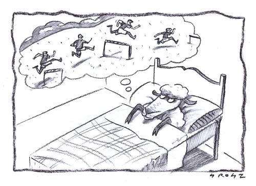 Sheep Dreams