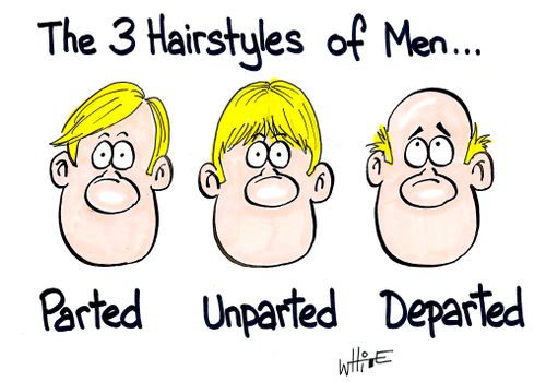 The 3 Hairstyles of Men...