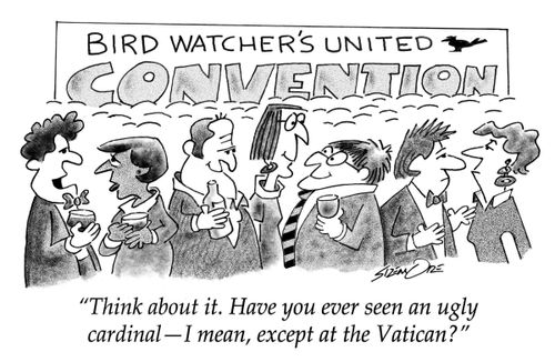 "Think about it. Have you ever seen an ugly cardinal—I mean, except at the Vatican?"