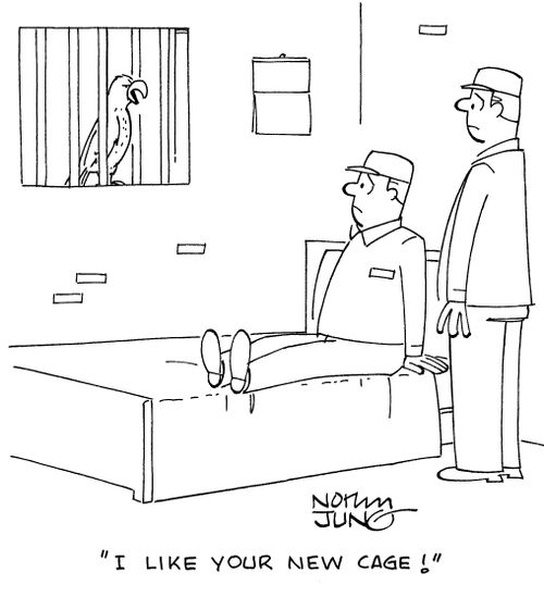 "I like your new cage!"