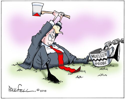 Mueller Probe