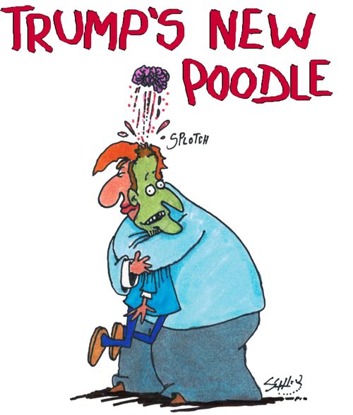 Trump's New Poodle