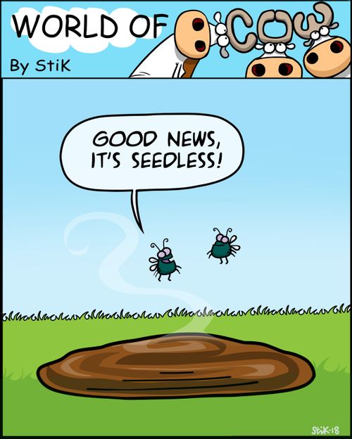 "Good news, it's seedless."