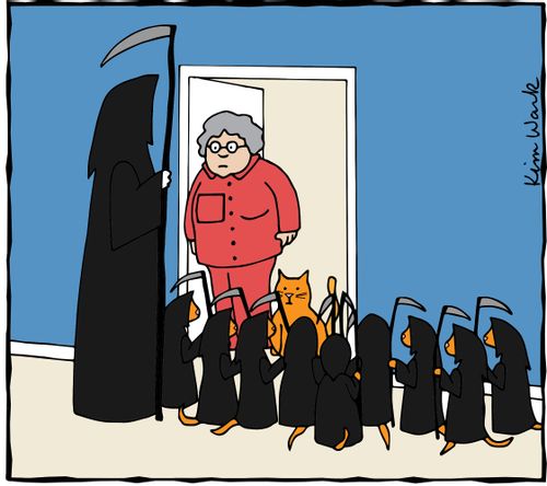 Cat Grim Reapers