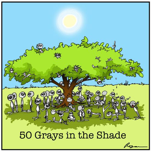 50 Grays in the Shade