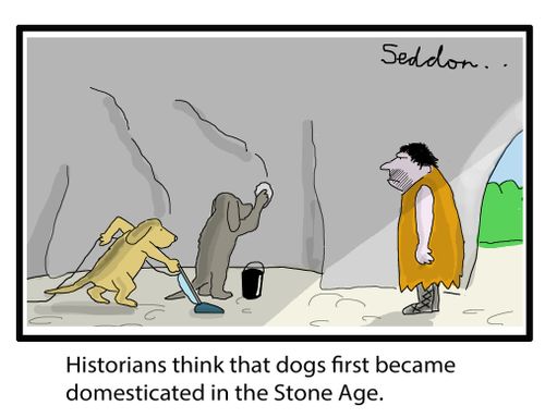 Historians think that dogs first became domesticated in the Stone Age.