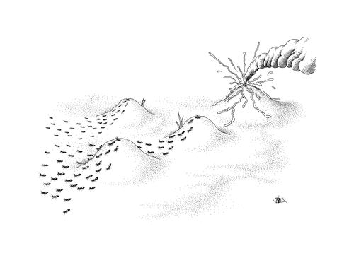 Ants fleeing a tiny volcano