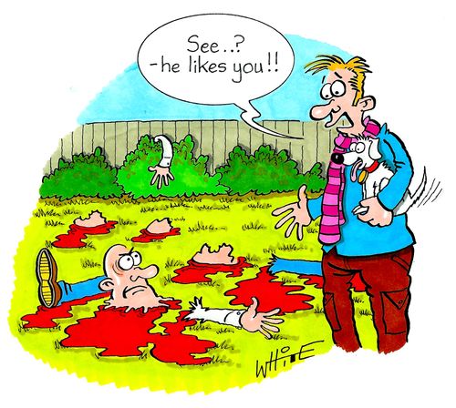 "See...?  - He likes you!!"