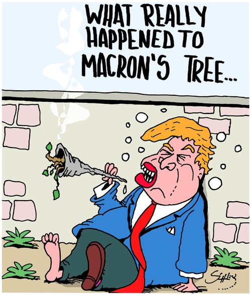 What really happened to Macron's Tree....