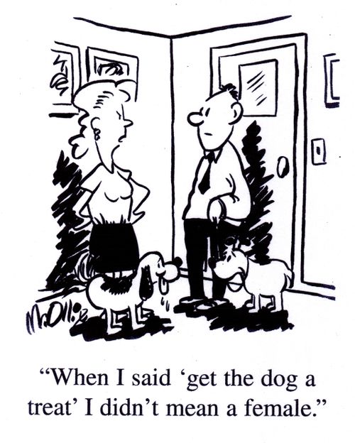 "When I said 'get the dog a treat' I didn't mean a female."
