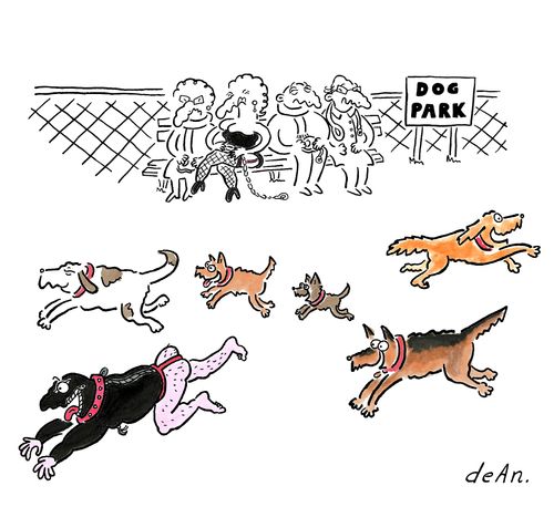 Dog Park