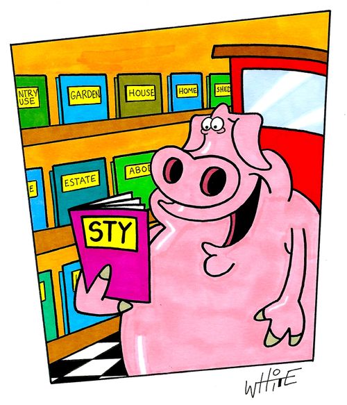 STY magazine