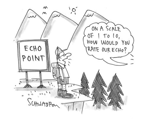 "On a scale of 1 to 10, how would you rate our echo?"
