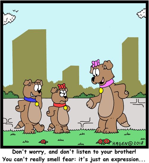"Don't worry, and don't listen to your brother! You can't really smell fear: it's just an expression..."