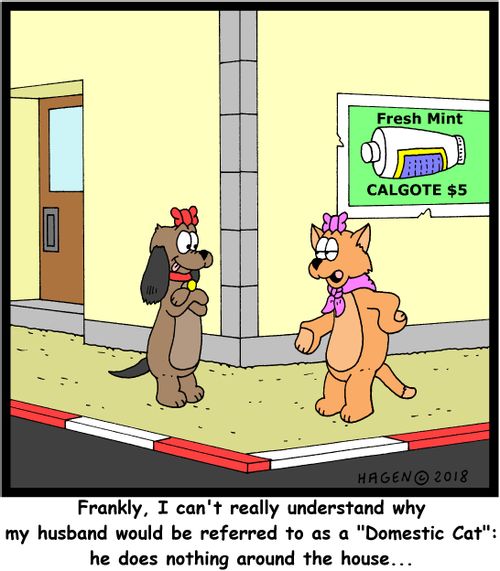 "Frankly, I can't really understand why my husband would be referred to as a "Domestic Cat": he does nothing around the house..."