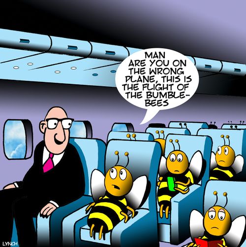 "Many are you on the wrong plane, this the flight of the bumble bees."