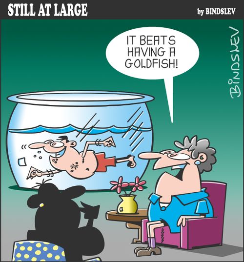 "It beats having a goldfish!"