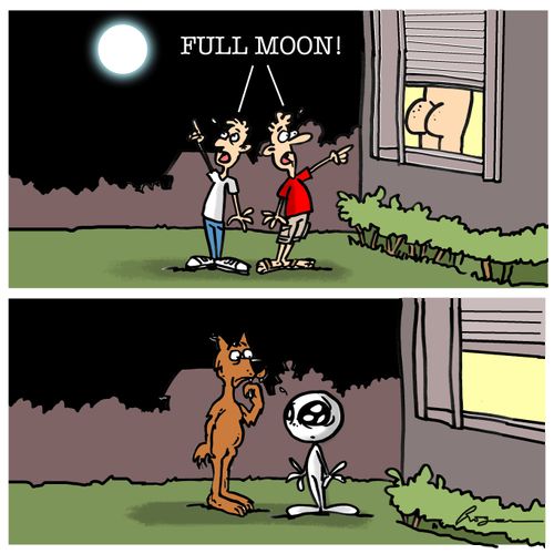 "Full moon!"