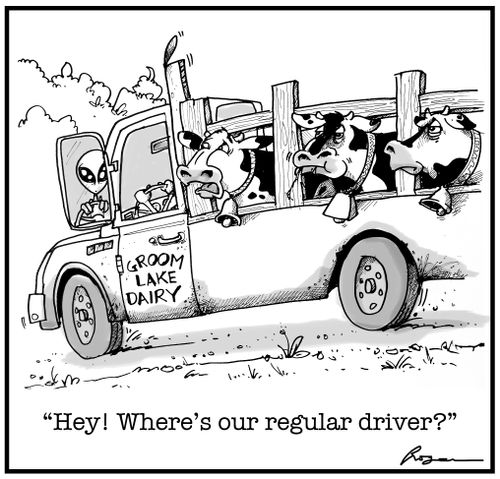 "Hey! Where's our regular driver?"