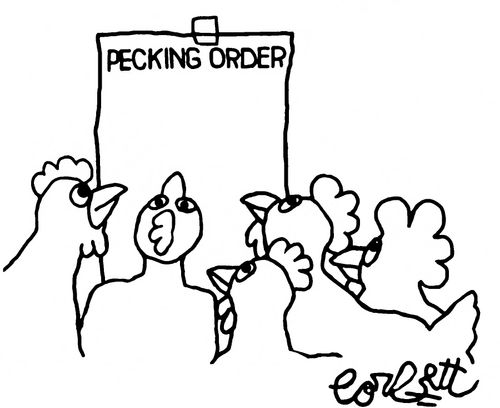Chickens read 'pecking order'.
