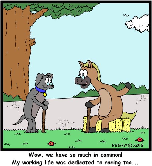 "Wow, we have so much in common! My working life was dedicated to racing too..."