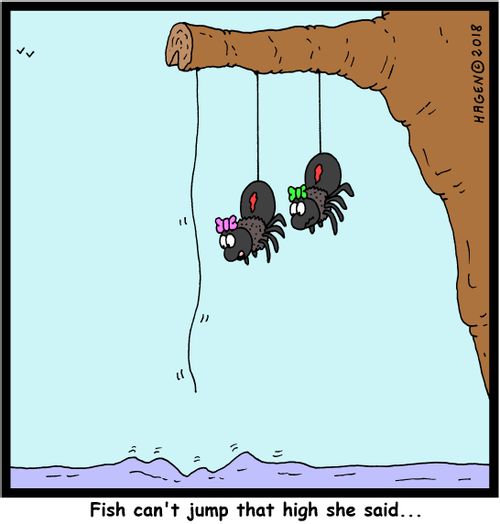 "Fish can't jump that high she said..."