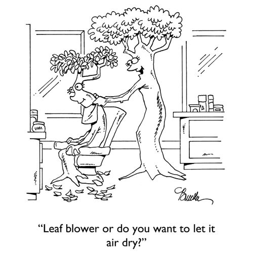 "Leaf blower or do you want to let it air dry?"
