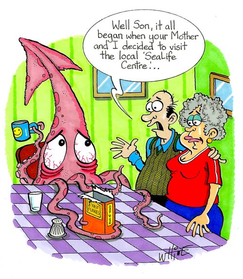 "Well son, it all began when your Mother and I decided to visit the local 'SeaLife Centre'..."