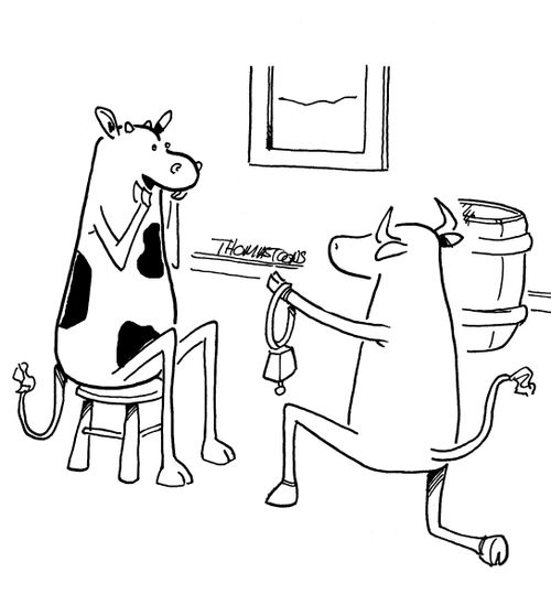 Cow Proposing