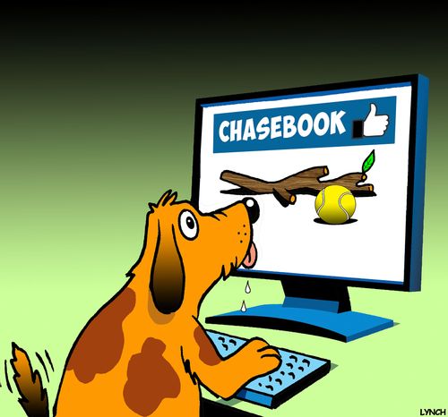 Chasebook