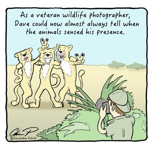 As a veteran wildlife photographer, Dave could now almost always tell when the animals have sensed his presence.