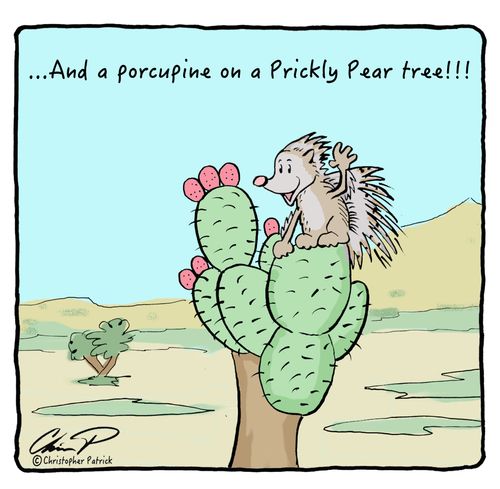 ... And a porcupine on a prickly pear tree!