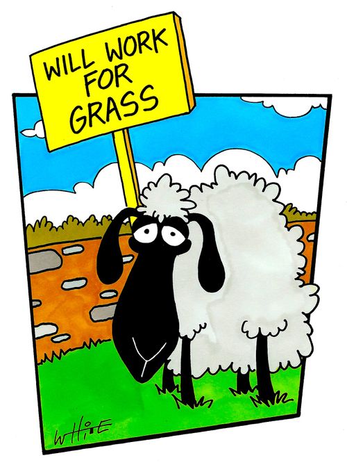 Will work for grass