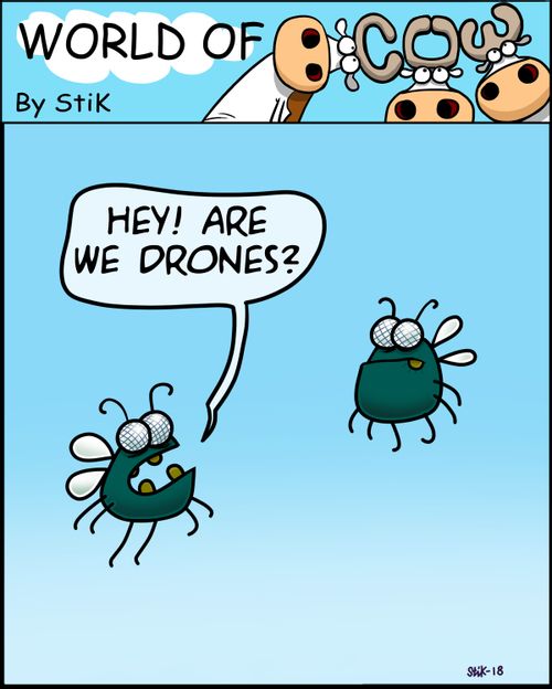 "Hey! Are we drones?"