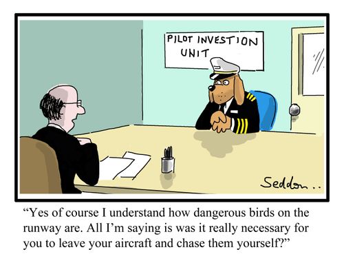 "Yes of course I understand how dangerous birds on the runway are. All I`m saying is was it really necessary for you to leave your aircraft and chase them yourself?"
