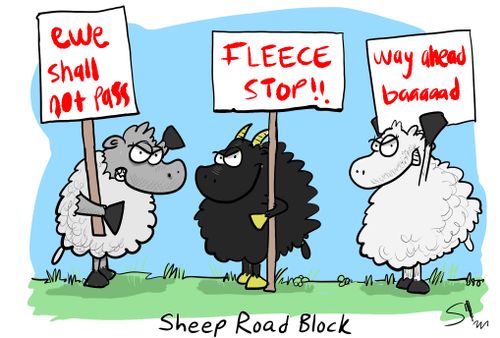 Sheep Road Block