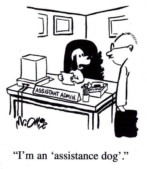 "I'm an 'assistance dog'."
